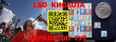 эйфоретик Будённовск