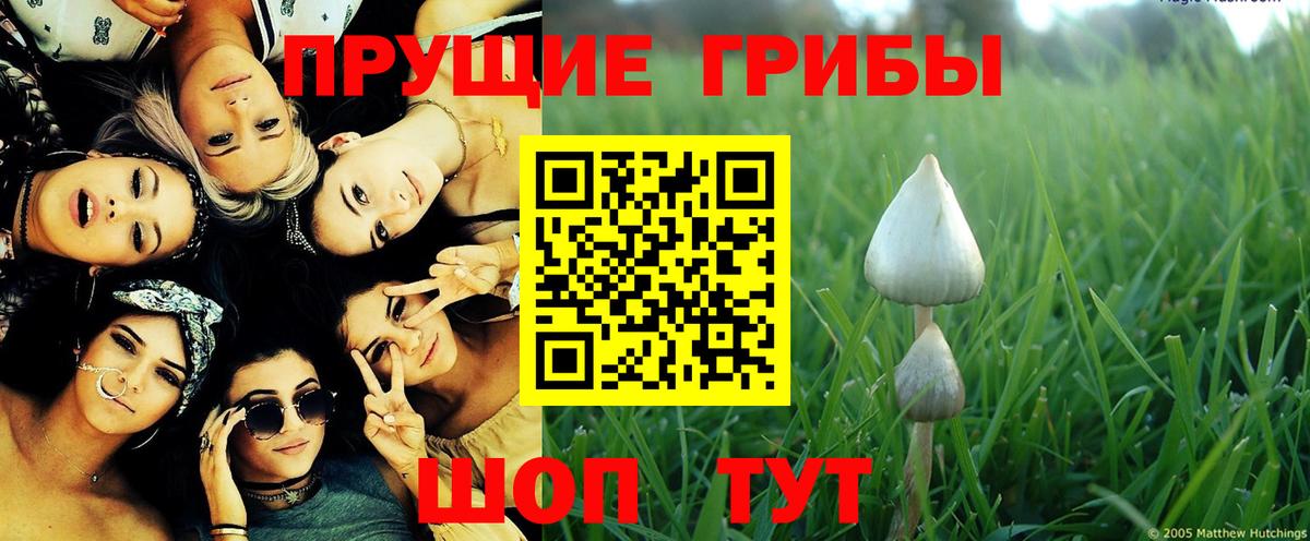 Галлюциногенные грибы Magic Shrooms Махачкала