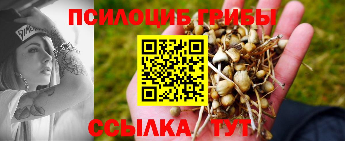 Махачкала  Псилоцибиновые грибы Psilocybe  Галлюциногенные грибы MAGIC MUSHROOMS  Вход с VPN 