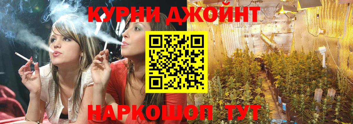Шишки марихуана White Widow Махачкала